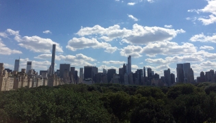 Central Park from the Metropolitan Museum of Art